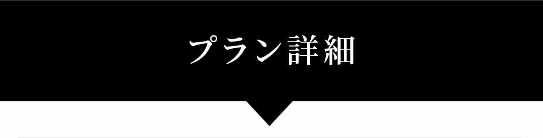 プラン詳細